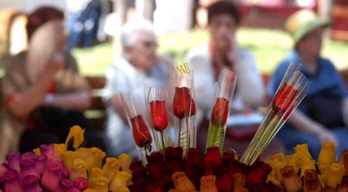 Vive Sant Jordi en Nou Barris – 2023 Vive Sant Jordi en Nou Barris - 2023