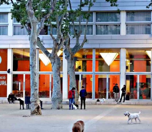 La Blanquerna despide al profesor acusado de acosos sexuales La Blanquerna despide al profesor acusado de acosos sexuales