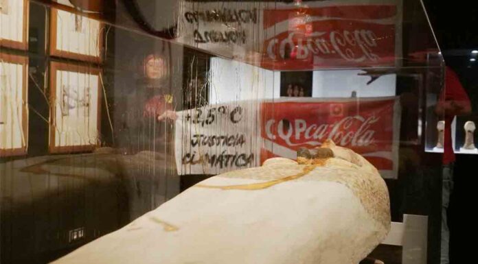 Investigan a dos activistas por una protesta en el Museu Egipci Investigan a dos activistas por una protesta en el Museu Egipci
