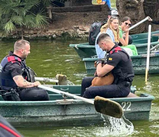Los Mossos rescatan a un perro en el estanque de la Ciudadela Los Mossos rescatan a un perro en el estanque de la Ciudadela