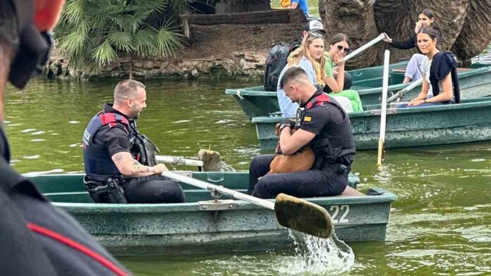 Los Mossos rescatan a un perro en el estanque de la Ciudadela