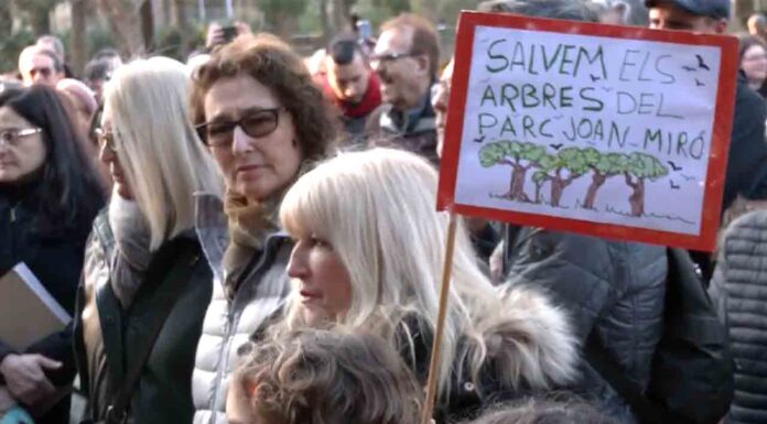 Los vecinos protestan por las obras de la L8 de los FGC en el Parc de Joan Miró Los vecinos protestan por las obras de la L8 de los FGC en el Parc de Joan Miró