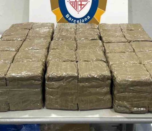 Detenido en Pedralbes con 34 kilos de hachís dentro del coche Detenido en Pedralbes con 34 kilos de hachís dentro del coche