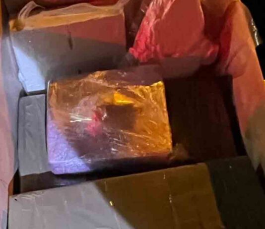 Detienen a una pareja en Horta-Guinardó con 4 kilos y medio de cocaína Detienen a una pareja en Horta-Guinardó con 4 kilos y medio de cocaína