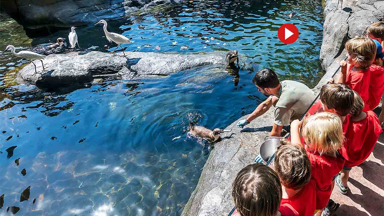 El Zoo de Barcelona se prepara para un verano lleno de actividades familiares