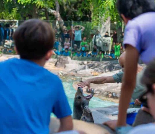 El Zoo de Barcelona obtiene el certificado Biosphere Sustainable Lifestyle El Zoo de Barcelona obtiene el certificado Biosphere Sustainable Lifestyle