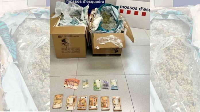 Detenidos con 22 kilos de cogollos de marihuana en Sant Martí