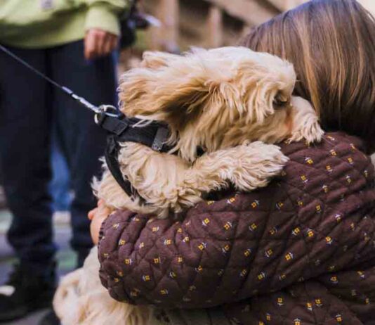 Menos abandonos y menos adopciones de animales en el CAACB Menos abandonos y menos adopciones de animales en el CAACB