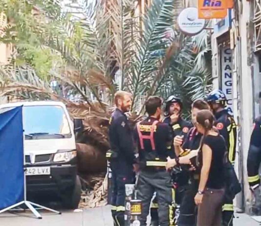 Muere una chica en El Raval al caerle encima una palmera Muere una chica en El Raval al caerle encima una palmera