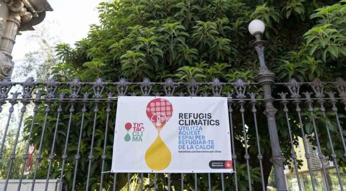 Activada la Fase de Alerta Diurna del Plan Calor manteniendo la emergencia por noches tórridas Activada la Fase de Alerta Diurna del Plan Calor manteniendo la emergencia por noches tórridas