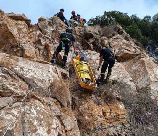 Rescatan a un turista tras caer por un barranco en Montjuïc Rescatan a un turista tras caer por un barranco en Montjuïc