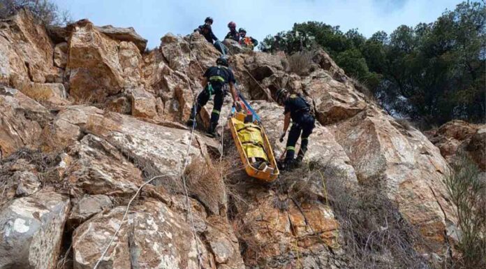 Rescatan a un turista tras caer por un barranco en Montjuïc Rescatan a un turista tras caer por un barranco en Montjuïc