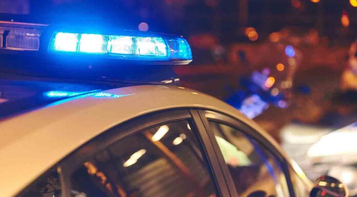 Los servicios municipales se refuerzan por las Fiestas de la Mercè Los servicios municipales se refuerzan por las Fiestas de la Mercè