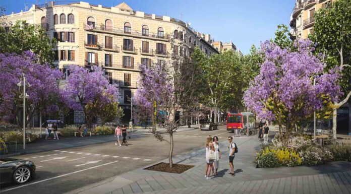 Una sentencia ordena revertir el eje verde de Consell de Cent Una sentencia ordena revertir el eje verde de Consell de Cent
