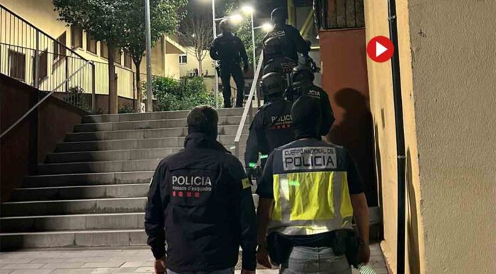 16 detenidos de la organización neonazi Combat 18 16 detenidos de la organización neonazi Combat 18