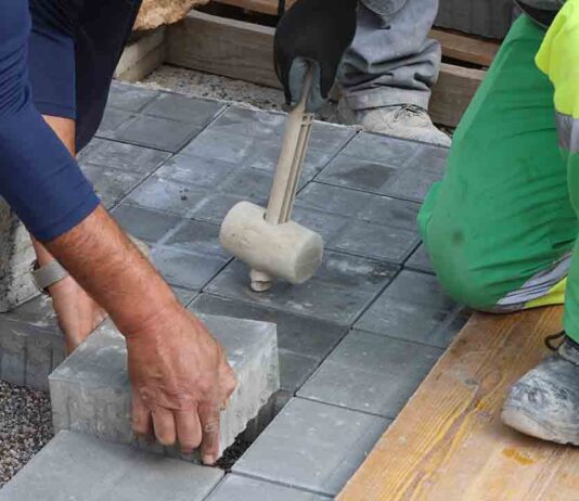 Barcelona prueba los ‘panots’ sostenibles en el eje verde de Almogàvers Barcelona prueba los 'panots' sostenibles en el eje verde de Almogàvers