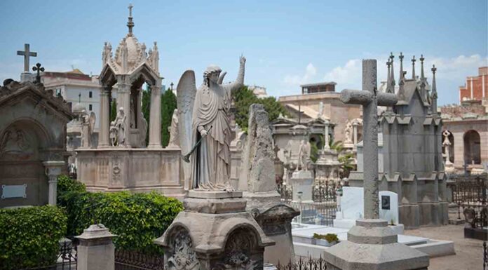 Cementiris de Barcelona amplía el horario por Todos los Santos Cementiris de Barcelona amplía el horario por Todos los Santos