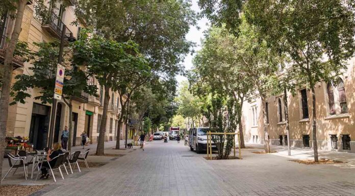 El Ayuntamiento recurre la sentencia de Consell de Cent y defiende que la obra es legal El Ayuntamiento recurre la sentencia de Consell de Cent y defiende que la obra es legal