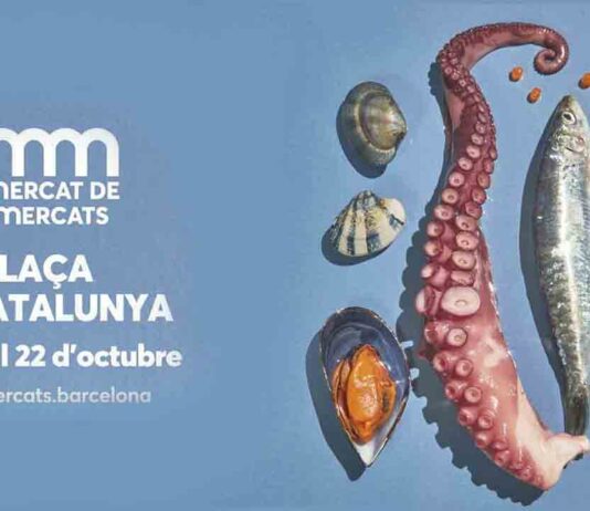 La Fira Mercat de Mercats 2023 será este año en la plaza de Catalunya La Fira Mercat de Mercats 2023 será este año en la plaza de Catalunya