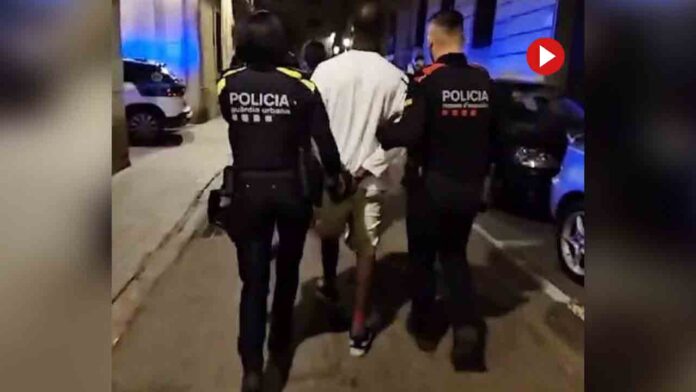 Cuatro detenidos en el desmantelamiento de dos narcopisos en Ciutat Vella