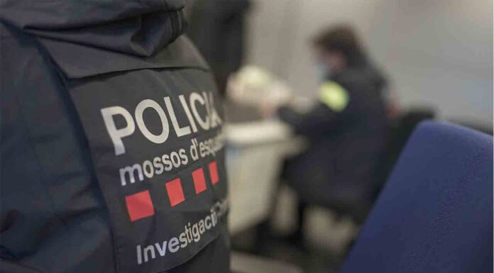Seis detenidos por introducir billetes falsos en locales de ocio nocturno Seis detenidos por introducir billetes falsos en locales de ocio nocturno