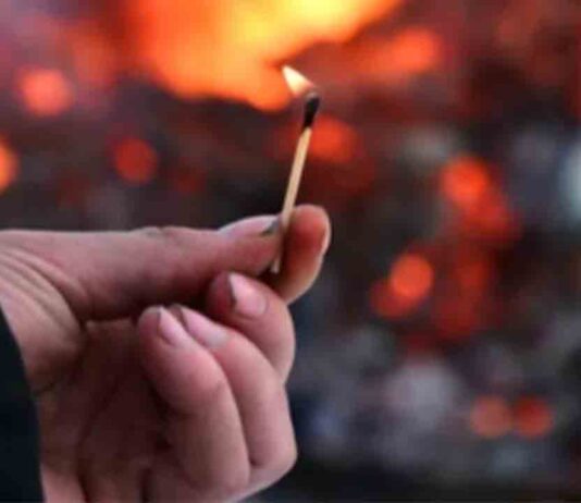 Dos detenidos por provocar seis incendios forestales en el Baix Llobregat Dos detenidos por provocar seis incendios forestales en el Baix Llobregat