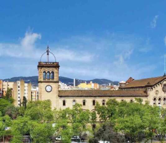 El Ayuntamiento ya cuenta con cuatro representantes en las universidades públicas El Ayuntamiento ya cuenta con cuatro representantes en las universidades públicas