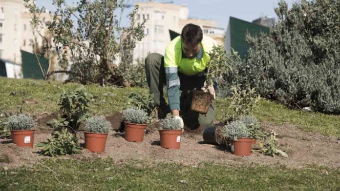 Parques y Jardines convoca 75 plazas para reforzar la plantilla