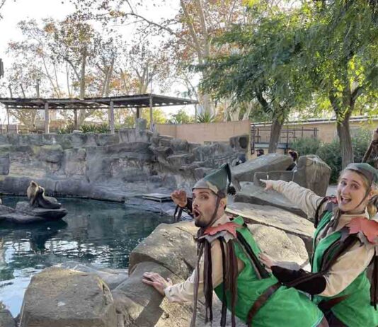 El Zoo de Barcelona cierra el 2023 con cerca de 820.000 visitantes El Zoo de Barcelona cierra el 2023 con cerca de 820.000 visitantes