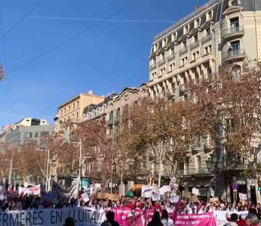 Las enfermeras vuelven a salir a la calle después de un mes de huelga Las enfermeras vuelven a salir a la calle después de un mes de huelga