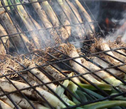 Las grandes Calçotadas de Sants-Montjuïc Las grandes Calçotadas de Sants-Montjuïc