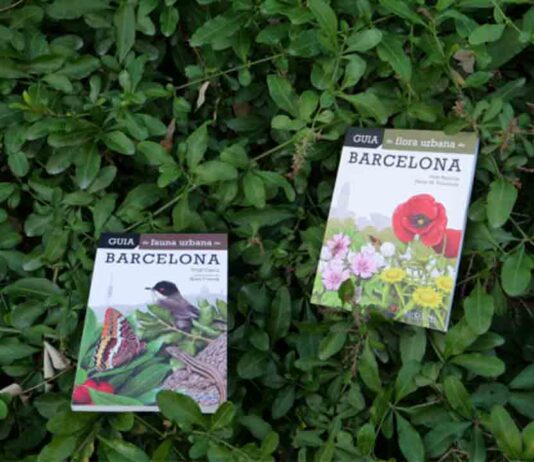 Presentación de las guías de fauna y flora urbana de Barcelona Presentación de las guías de fauna y flora urbana de Barcelona