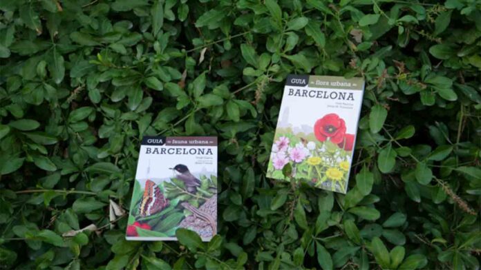 Presentación de las guías de fauna y flora urbana de Barcelona