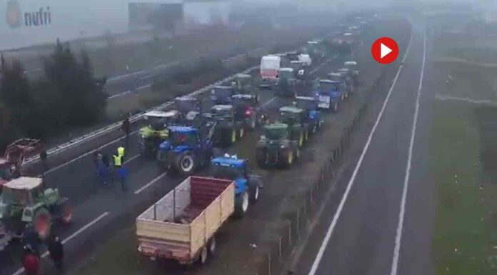 Vuelven los tractores a las calles de Barcelona Los agricultores inician su marcha hacia Barcelona