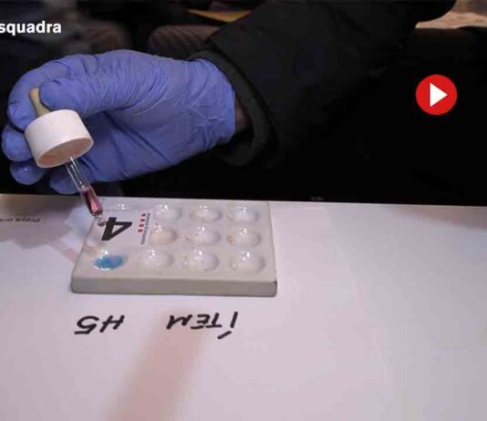 12 detenidos en El Prat por producción y venta de marihuana 12 detenidos en El Prat por producción y venta de marihuana