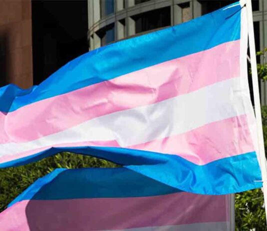 Día de la Visibilidad Trans en el Distrito de Sant Andreu Día de la Visibilidad Trans en el Distrito de Sant Andreu