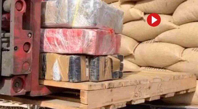 Pillan 419 kilos de cocaína en el Puerto de Barcelona Pillan 419 kilos de cocaína en el Puerto de Barcelona