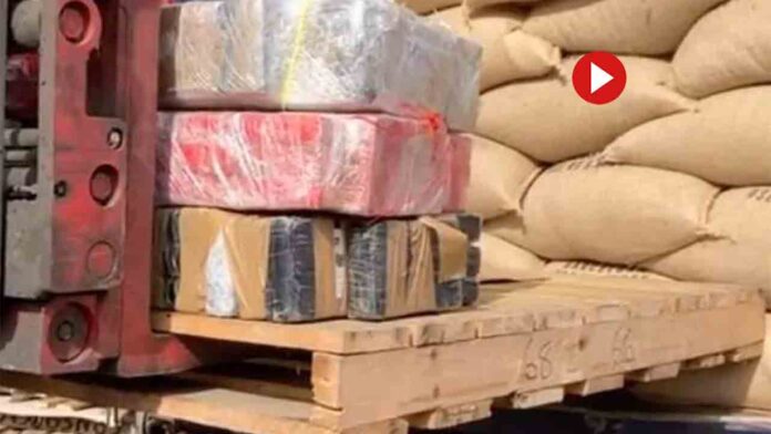 Pillan 419 kilos de cocaína en el Puerto de Barcelona
