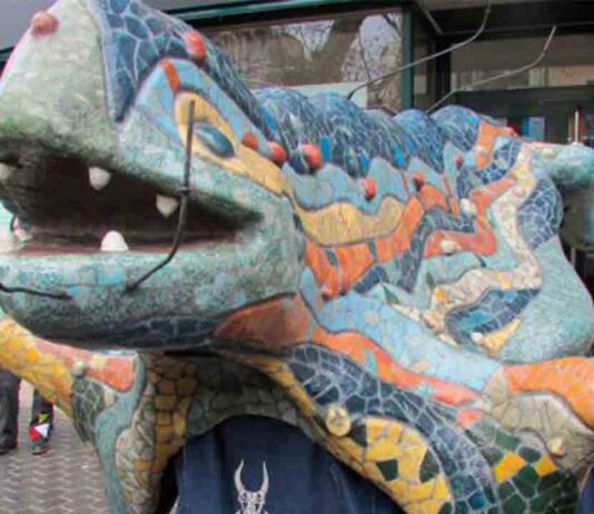 Dragón Gaudiamus del Coll Dragón Gaudiamus del Coll