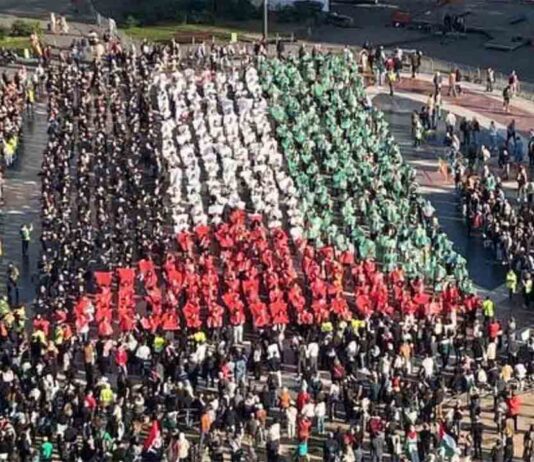 Huelga General el 15 de octubre en apoyo a Palestina Miles de personas se manifiestan contra los bombardeos en Gaza