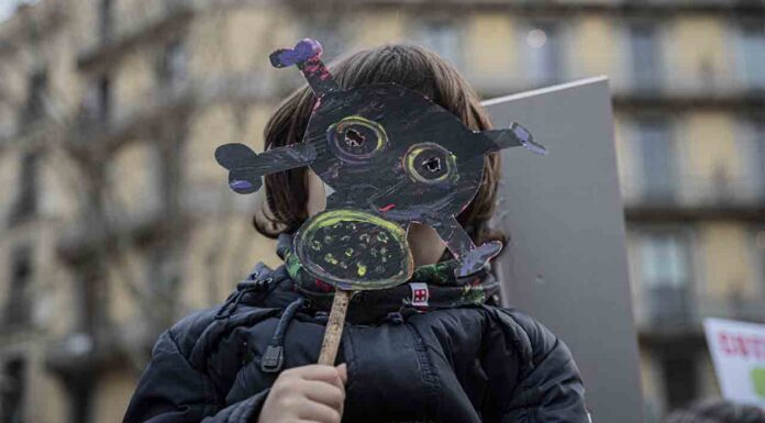 Vuelve Enfocats al Pati Llimona Vuelve Enfocats al Pati Llimona