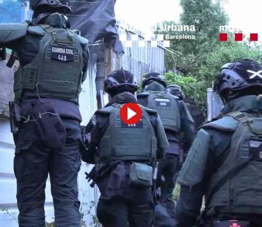 11 detenidos de los Demons de Ciutat Meridiana 11 detenidos de los Demons de Ciutat Meridiana