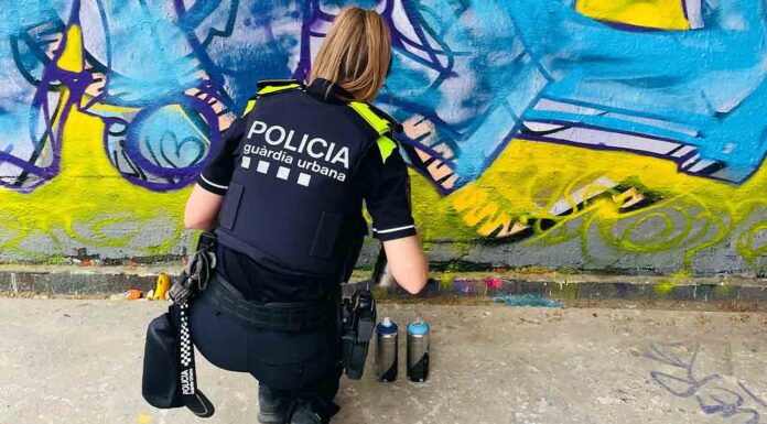 Dispositivo para reducir pintadas y grafitis no autorizados en espacios públicos Dispositivo para reducir pintadas y grafitis no autorizados en espacios públicos