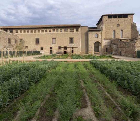 El huerto medieval del Monasterio de Pedralbes, una de las 10 mejores prácticas europeas El huerto medieval del Monasterio de Pedralbes, una de las 10 mejores prácticas europeas