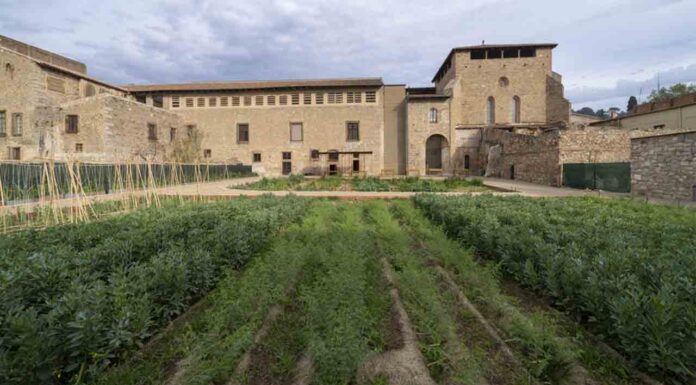 El huerto medieval del Monasterio de Pedralbes, una de las 10 mejores prácticas europeas El huerto medieval del Monasterio de Pedralbes, una de las 10 mejores prácticas europeas