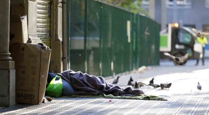 Arrels denuncia más sanciones desde que está en vigor el Pla Endreça Arrels denuncia más sanciones desde que está en vigor el Pla Endreça