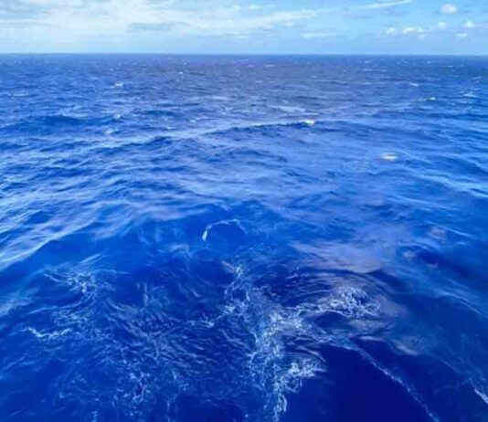 Barcelona celebra el Día Mundial de los Mares y el Océano Barcelona celebra el Día Mundial de los Mares y el Océano