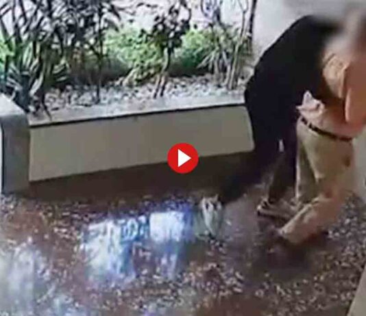 Detenido un ladrón en Hospitalet que asaltaba ancianos para robarles Detenido un ladrón en Hospitalet que asaltaba ancianos para robarles