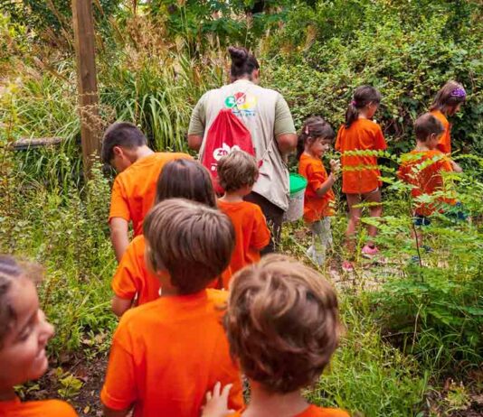 Empiezan las actividades familiares de verano del Zoo de Barcelona Empiezan las actividades familiares de verano del Zoo de Barcelona