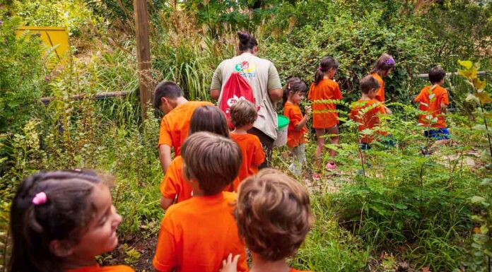Empiezan las actividades familiares de verano del Zoo de Barcelona Empiezan las actividades familiares de verano del Zoo de Barcelona